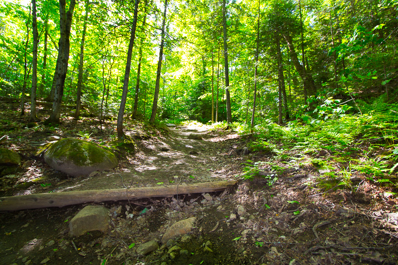 Algonquin Park - Smoke Lake to Ragged Lake